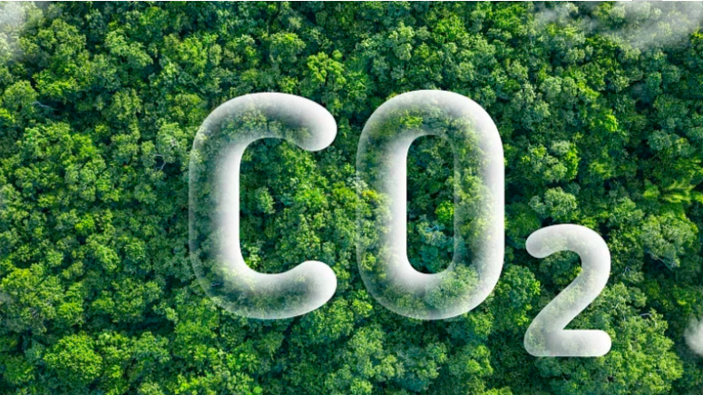 1769757472172487.png image.png